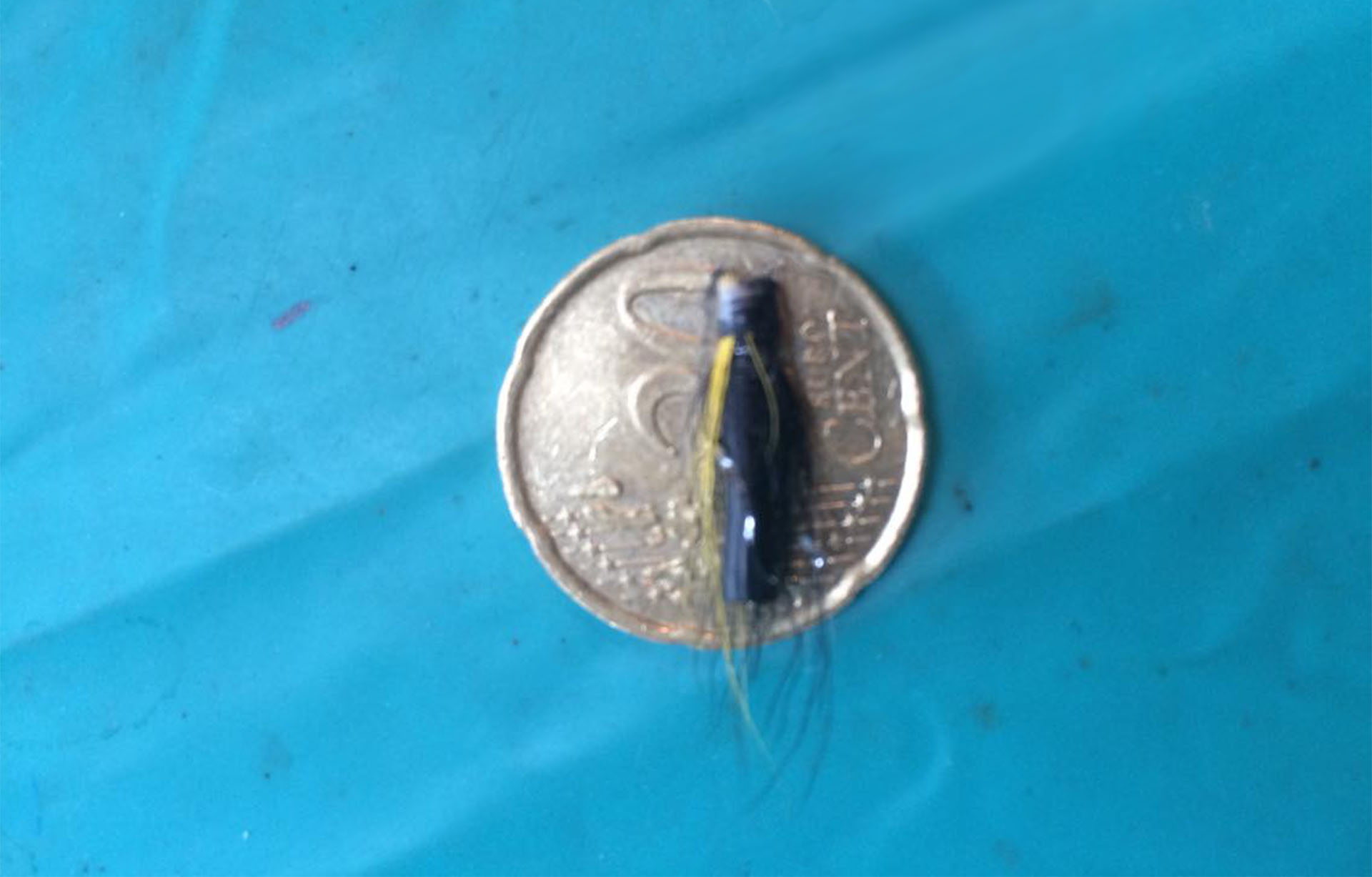 small tubefly